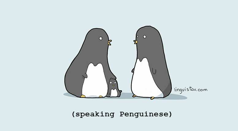 penguins-004